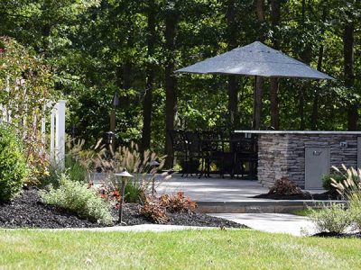 Backyard Renovation