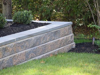 Backyard Renovation 16