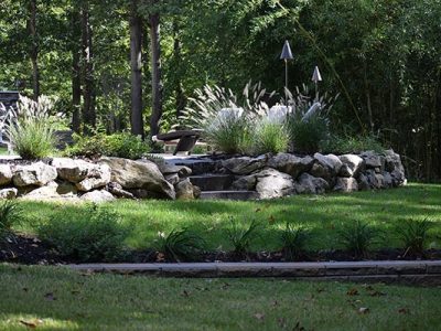 Backyard Renovation 2