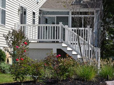 Backyard Renovation 3