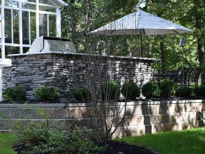 Backyard Renovation 7